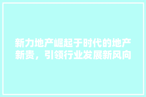 新力地产崛起于时代的地产新贵，引领行业发展新风向