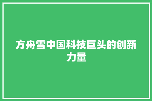 方舟雪中国科技巨头的创新力量