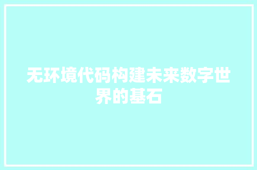 无环境代码构建未来数字世界的基石