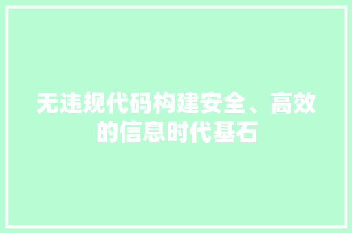 无违规代码构建安全、高效的信息时代基石