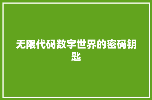 无限代码数字世界的密码钥匙