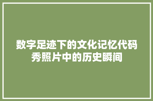 数字足迹下的文化记忆代码秀照片中的历史瞬间