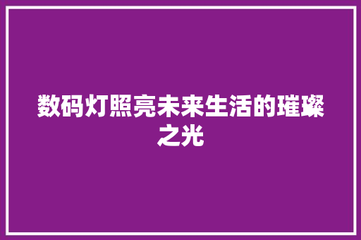 数码灯照亮未来生活的璀璨之光