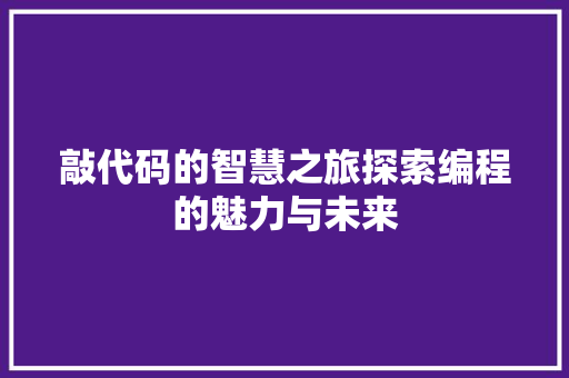敲代码的智慧之旅探索编程的魅力与未来