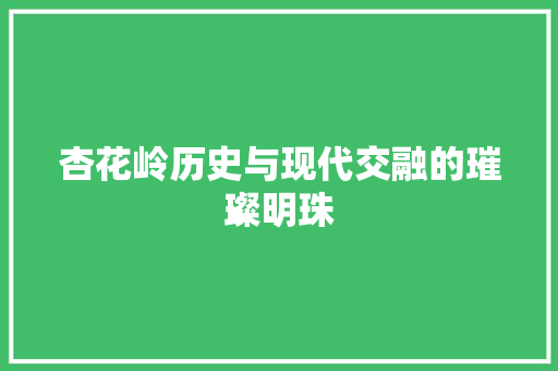 杏花岭历史与现代交融的璀璨明珠