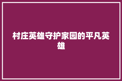 村庄英雄守护家园的平凡英雄