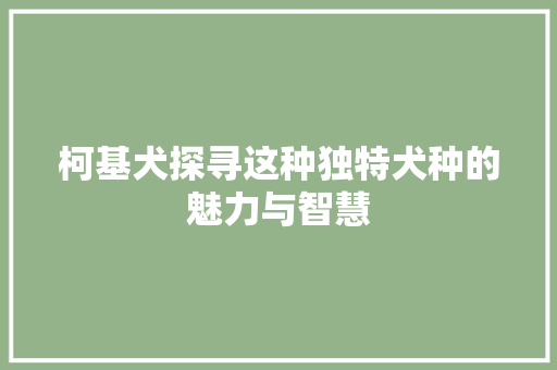 柯基犬探寻这种独特犬种的魅力与智慧