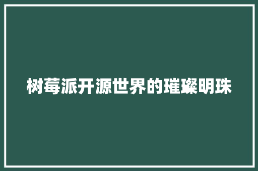 树莓派开源世界的璀璨明珠