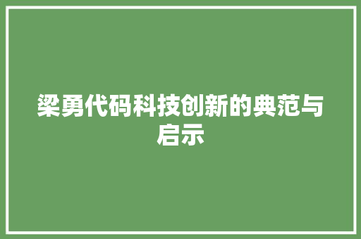 梁勇代码科技创新的典范与启示