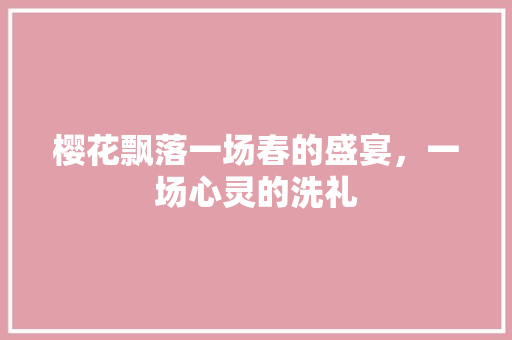樱花飘落一场春的盛宴，一场心灵的洗礼