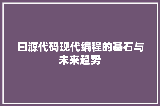 曰源代码现代编程的基石与未来趋势