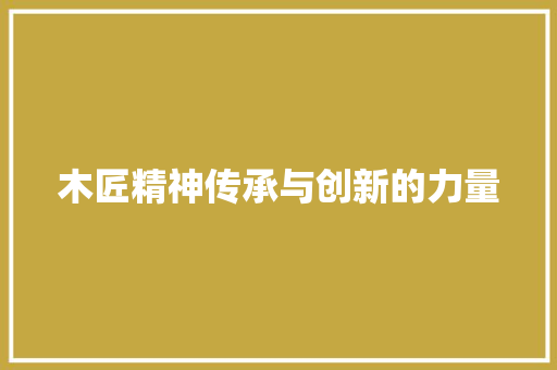 木匠精神传承与创新的力量