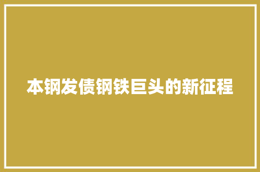 本钢发债钢铁巨头的新征程