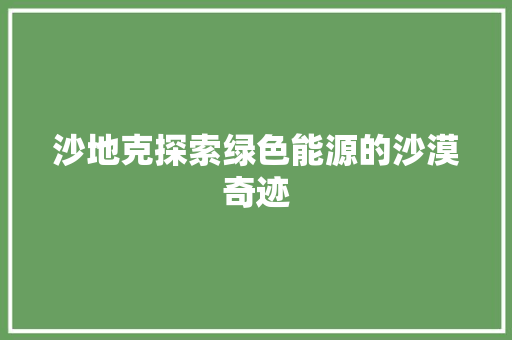 沙地克探索绿色能源的沙漠奇迹