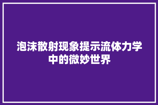 泡沫散射现象提示流体力学中的微妙世界