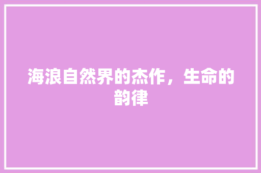 海浪自然界的杰作，生命的韵律