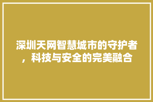 深圳天网智慧城市的守护者，科技与安全的完美融合