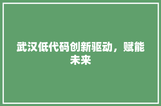 武汉低代码创新驱动，赋能未来