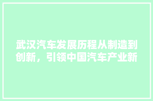 武汉汽车发展历程从制造到创新，引领中国汽车产业新篇章