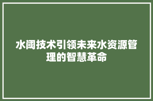 水阈技术引领未来水资源管理的智慧革命