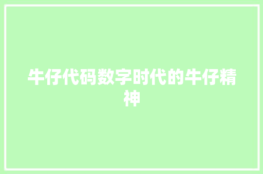 牛仔代码数字时代的牛仔精神
