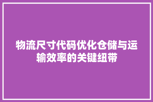 物流尺寸代码优化仓储与运输效率的关键纽带