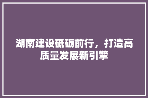 湖南建设砥砺前行，打造高质量发展新引擎