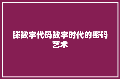 滕数字代码数字时代的密码艺术