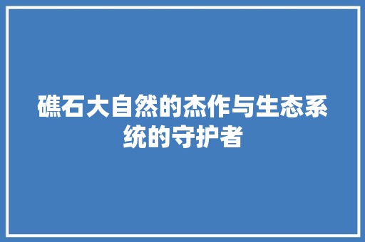 礁石大自然的杰作与生态系统的守护者