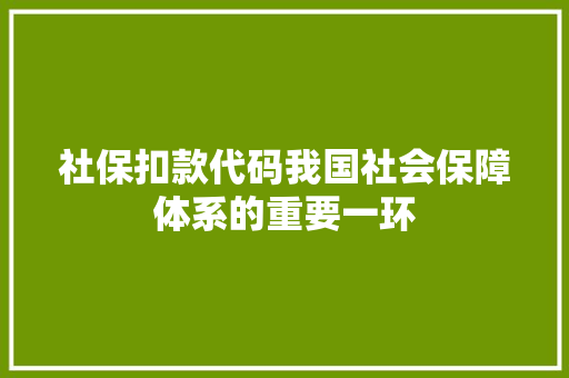 社保扣款代码我国社会保障体系的重要一环