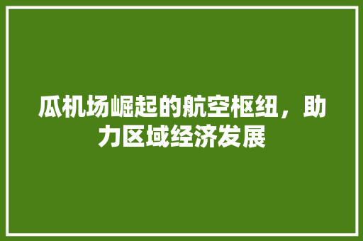 瓜机场崛起的航空枢纽，助力区域经济发展