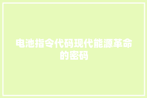 电池指令代码现代能源革命的密码