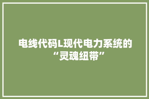电线代码L现代电力系统的“灵魂纽带”