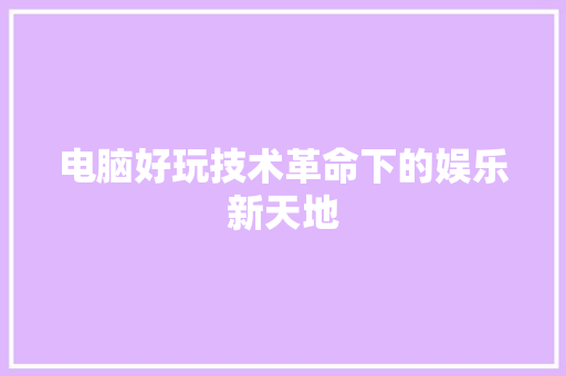 电脑好玩技术革命下的娱乐新天地
