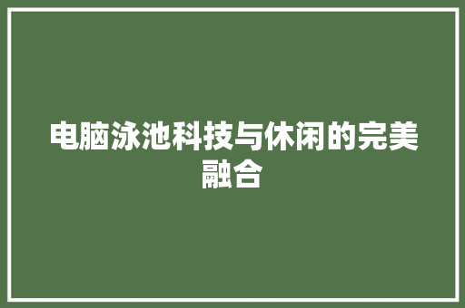电脑泳池科技与休闲的完美融合