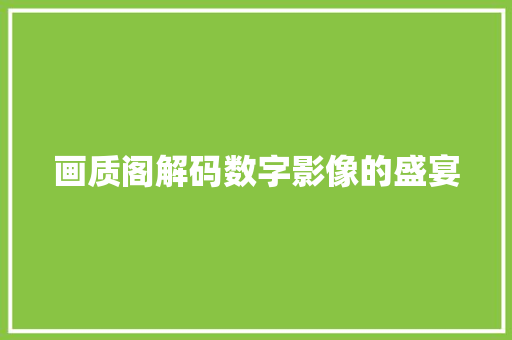 画质阁解码数字影像的盛宴