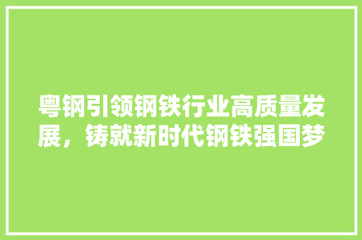 粤钢引领钢铁行业高质量发展，铸就新时代钢铁强国梦