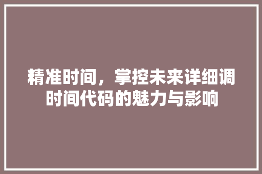 精准时间，掌控未来详细调时间代码的魅力与影响