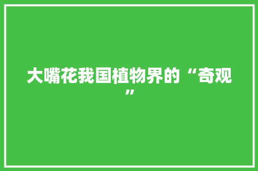 大嘴花我国植物界的“奇观”