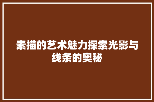 素描的艺术魅力探索光影与线条的奥秘
