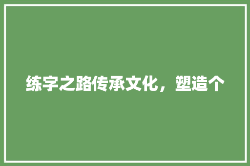 练字之路传承文化，塑造个