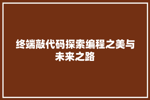终端敲代码探索编程之美与未来之路