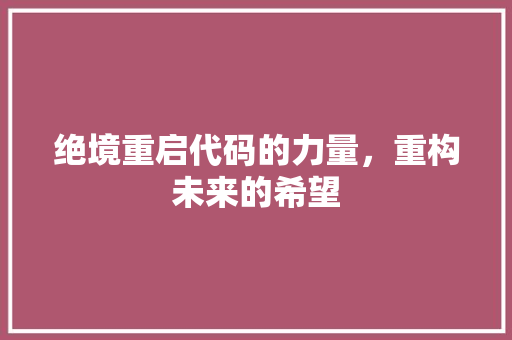 绝境重启代码的力量，重构未来的希望