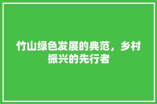 竹山绿色发展的典范，乡村振兴的先行者