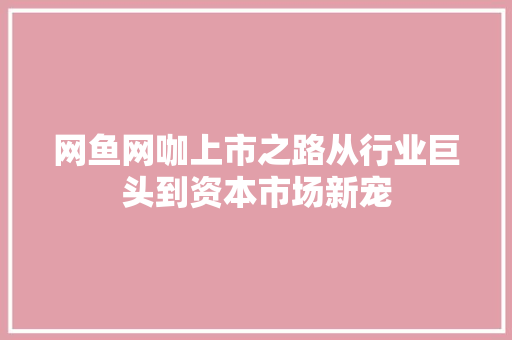 网鱼网咖上市之路从行业巨头到资本市场新宠