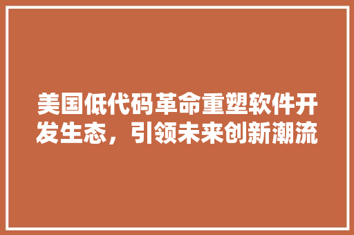 美国低代码革命重塑软件开发生态，引领未来创新潮流