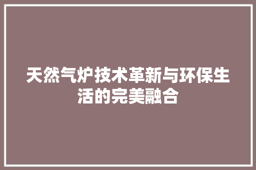 天然气炉技术革新与环保生活的完美融合