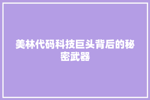 美林代码科技巨头背后的秘密武器  第1张