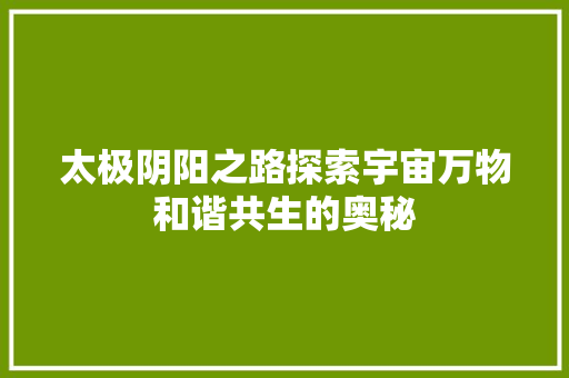 太极阴阳之路探索宇宙万物和谐共生的奥秘