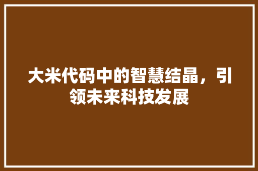 大米代码中的智慧结晶，引领未来科技发展